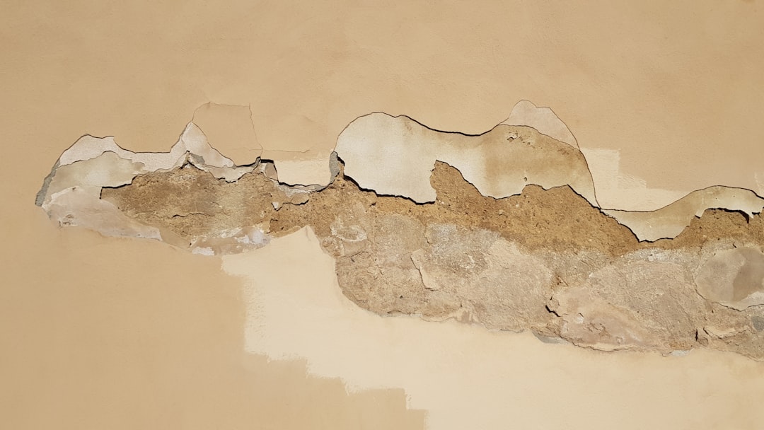 Water-damaged wall showing mold risk in a Houston home